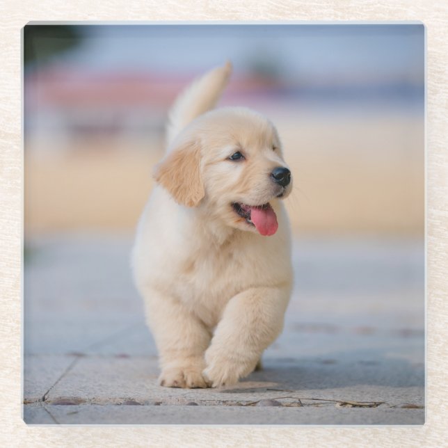 Create your own custom pet glass coaster (Front)