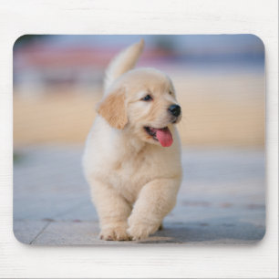 Create your own custom pet mouse pad