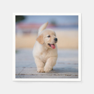 Create your own custom pet napkin