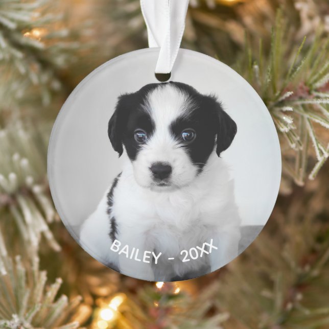Create Your Own Custom Pet Photo Name and Year Ornament (Tree)