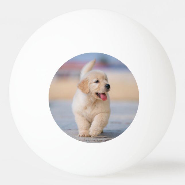 Create your own custom pet ping pong ball (Front)