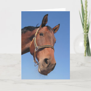 Create Your Own Custom Photo Gift Card