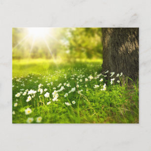 Create Your Own Custom Photo Personalised Postcard