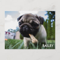 Create Your Own Custom Photo