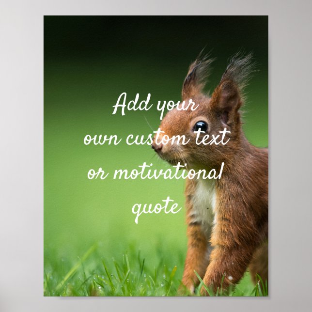 Create Your Own Custom Quote Poster - Squirrel (Front)