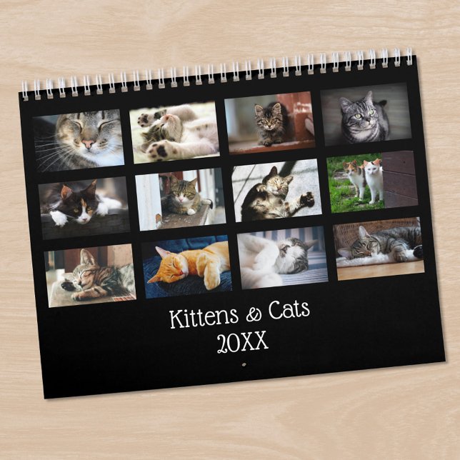 Create Your Own Cute Black Cover Pet Photo Calendar (Create Your Own Cute Black Cover Pet Photo Calendar in situ)