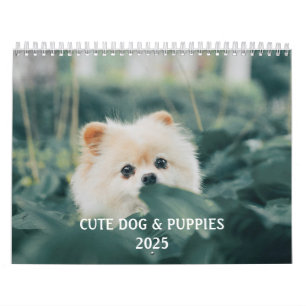 Create Your Own Cute Puppy Dog Pet Photo Calendar