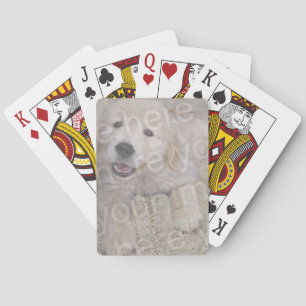 Create Your Own Deck Of Pet Photo Playing Cards