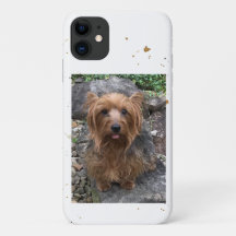 Create Your Own Dog Photo Custom Pet Puppy