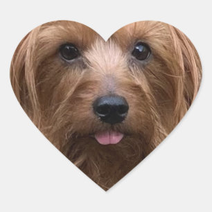 Create Your Own Dog Photo Custom Pet Puppy  Heart Sticker