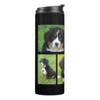 Create your own dog photos photo collage family