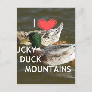 Create Your Own Ducky duck mountains. Postcard