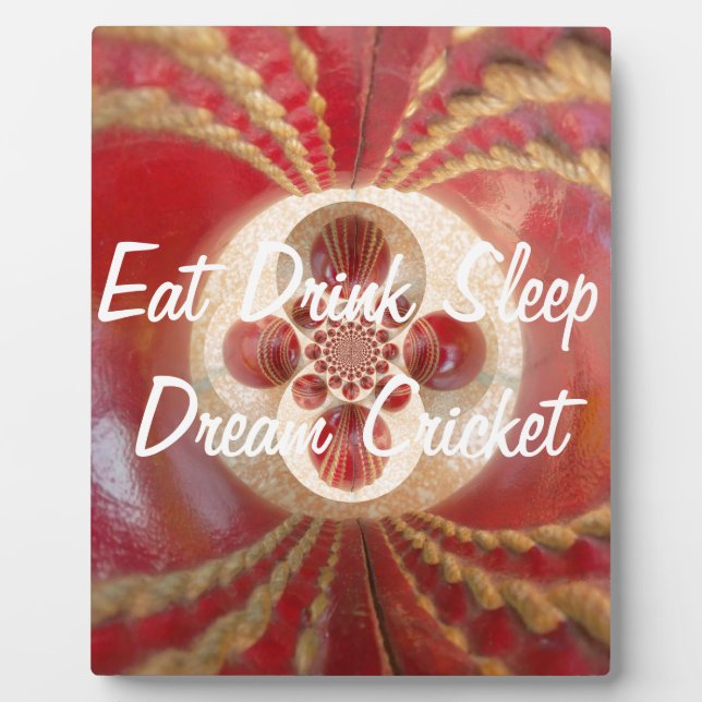 Create Your Own Eat Drink Sleep Dream Cricket Plaque (Front)