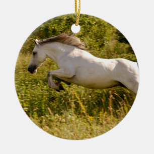 Create Your Own Equestrian Horse Photo Custom Ceramic Ornament