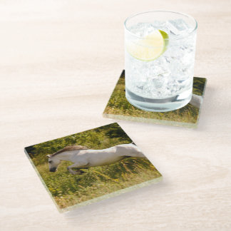 Create Your Own Equestrian Horse Photo Custom Glass Coaster