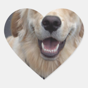 Create your own expressions!  Easy to use tools! Heart Sticker