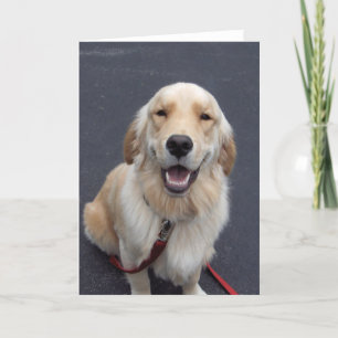 Create your own expressions! Easy to use tools! Holiday Card