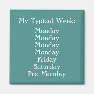 Create Your Own Funny Office Humour Teal and White Magnet