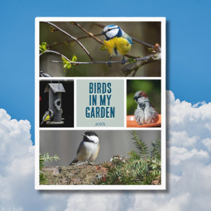 Create your own garden bird photo collection postcard