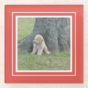 Create Your Own Keepsake Photo Modern Template Red Glass Coaster