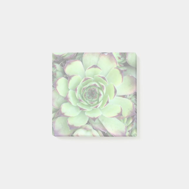 Create Your Own Lightened Photo Post-it Notes (Front)