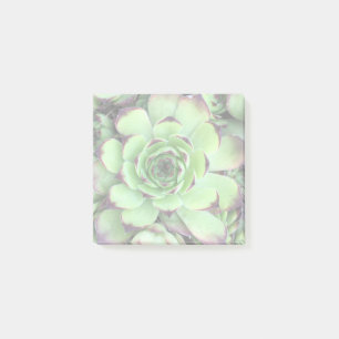 Create Your Own Lightened Photo Post-it Notes