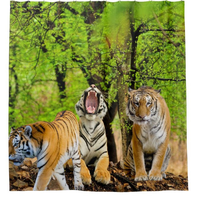 Create your own Nature and Tiger lovers Forest Shower Curtain (Front)