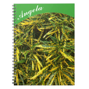 Create your own notebook - green