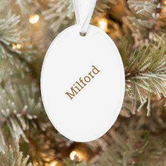 Create Your Own Oval Acrylic Ornament