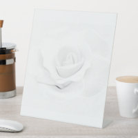 Create Your Own -