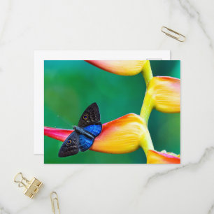 Create Your Own Personalised Custom Photo Template