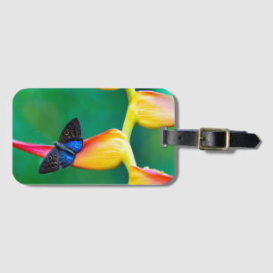 Create Your Own Personalised Custom Photo Template Luggage Tag