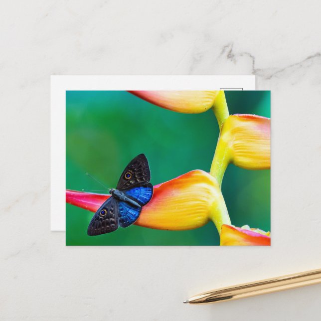 Create Your Own Personalised Custom Photo Template Postcard (Front/Back In Situ)