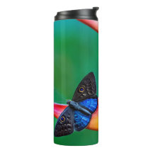 Create Your Own Personalised Custom Photo Template