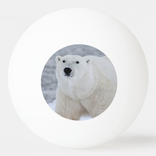 Create Your Own Personalised Photo Ping Pong Ball (Front)