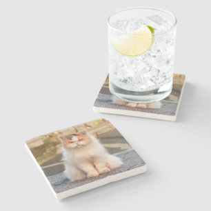Create Your Own Pet Cat Personalised Photo Stone Coaster