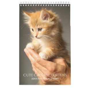 Create Your Own Pet Cat Photos 2025 Small Calendar