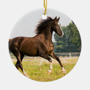 Create Your Own Pet Horse Photo Custom Picture Ceramic Ornament