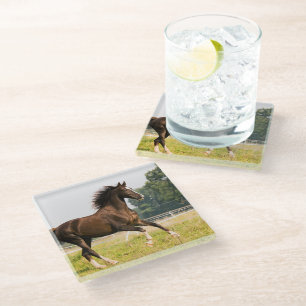 Create Your Own Pet Horse Photo Custom Picture Glass Coaster