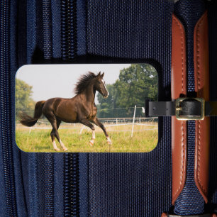Create Your Own Pet Horse Photo Custom Picture Luggage Tag