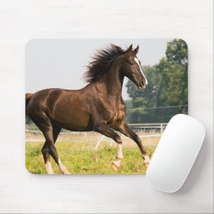 Create Your Own Pet Horse Photo Custom Picture Mouse Pad