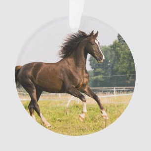 Create Your Own Pet Horse Photo Custom Picture Ornament