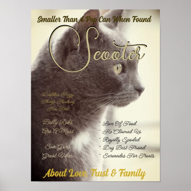 Create Your Own Pet Magazine Style Cover Poster (Front)