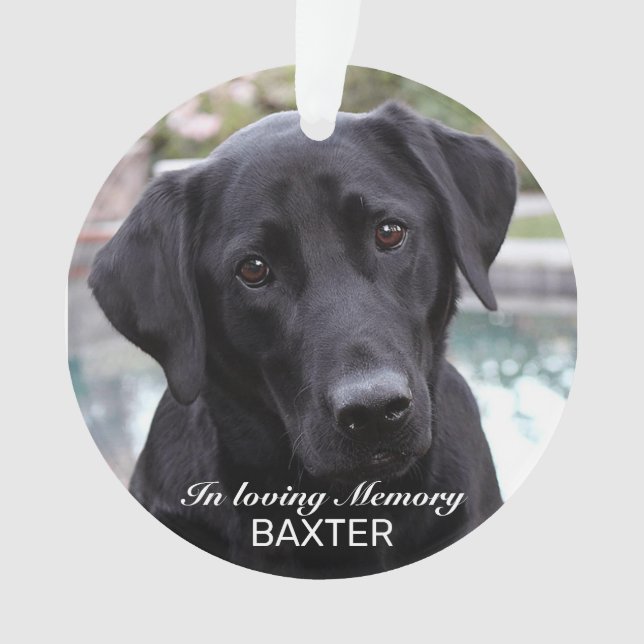Create Your Own Pet Memorial Photo  Ornament (Front)