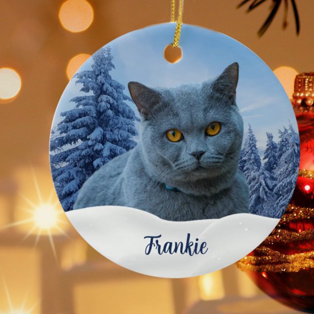 Create Your Own Pet Photo  Ceramic Ornament (Creator Uploaded)