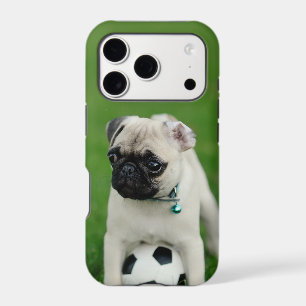 Create Your Own Pet Photo Custom Picture