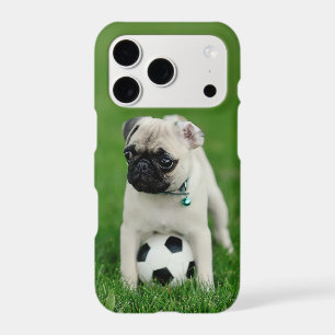 Create Your Own Pet Photo Custom Picture