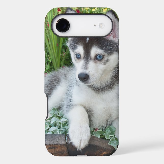 Create Your Own Pet Photo Custom Picture (Back)