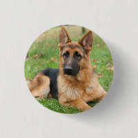 Create Your Own Pet Photo Custom Picture