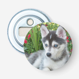 Create Your Own Pet Photo Custom Picture Bottle Opener
